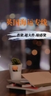 客观评价！我从淘宝购买家具海运到英国利兹利物浦的布置使用体验