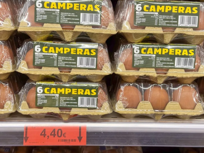 散养鸡蛋价格创新高 消费者支付溢价却不符标准