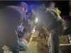 遛弯女子遭多只牧羊犬攻击身亡，西班牙犬主被判入狱并赔偿25万欧元