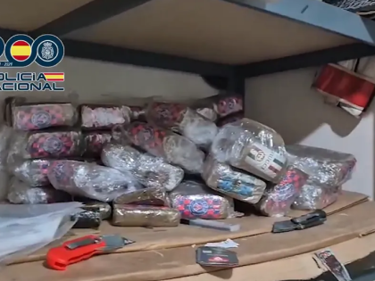 马德里成毒品中转仓 警方破获大型跨国大麻走私网络逮捕57人
