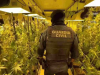 马德里破获大型大麻种植窝点：12人落网，非法用电成犯罪关键线索