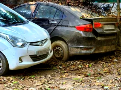 马德里空地查获21辆被盗汽车 警方怀疑为拆车窝点