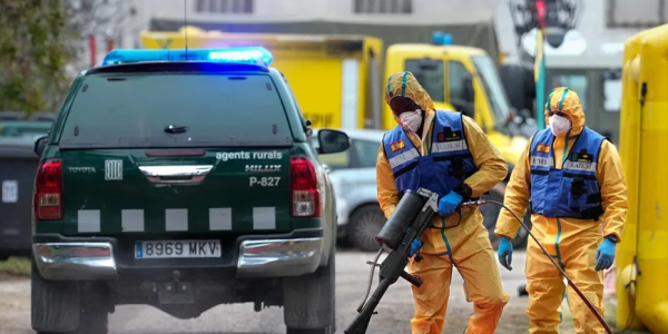 疫情警戒升级： 猪瘟危机下加泰罗尼亚加强管控