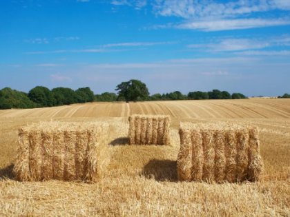 西班牙农村工伤悲剧 27岁青年被400公斤草垛压死
