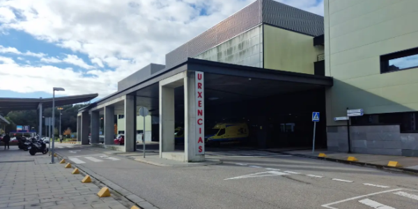 西班牙72岁女子遭十余只狗围攻 重伤送医