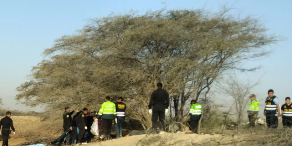 秘鲁旅游飞机坠毁致13人遇难，两名西班牙游客为一对夫妇