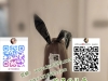 #高雄熱辣約會Gleezy：why337 #學生妹私密相會 #嫩白肌膚 TG：@tg9894