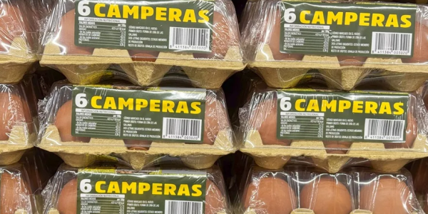 散养鸡蛋价格创新高 消费者支付溢价却不符标准