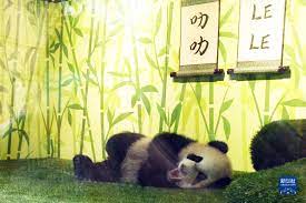 下载.jpg