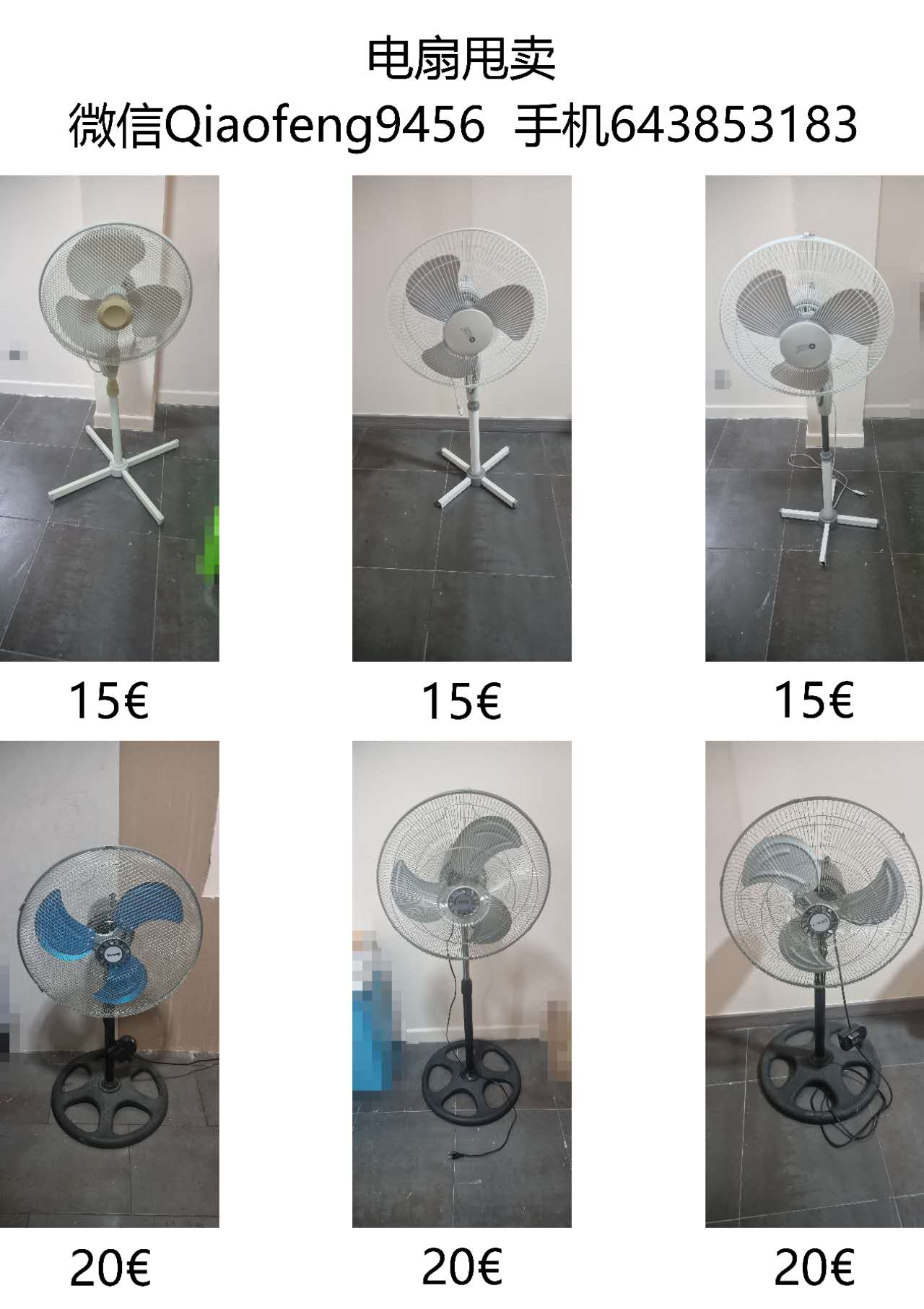 mmexport1736175146103.jpg