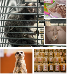 图片_20250417192856.png