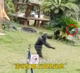 图片_20250503002300.png