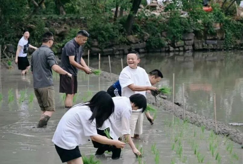 图片_20260623061403.png